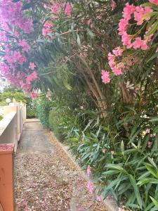 un giardino con fiori rosa e un sentiero di Appartamento La Guglia a Cala Gonone