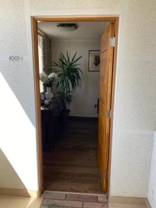 a door leading into a hallway with a plant at Dpto 1er nivel en La Serena in Coquimbo
