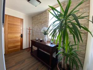 a room with a wooden table and a plant at Dpto 1er nivel en La Serena in Coquimbo