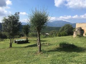 Príroda v okolí apartmánu