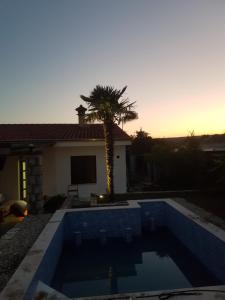 a swimming pool in front of a house with a palm tree at apartman Babić in Krk