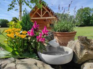 a bird sitting in a bird bath next to flowers at Chalets et cabane perchée "Ô Cœur des Puys" in Ceyssat