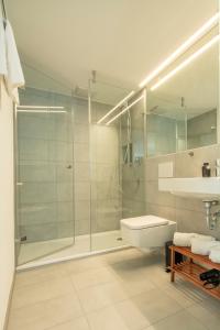 a bathroom with a shower and a toilet and a sink at Gästehaus am Schlossplatz, Z. 4 in Meersburg