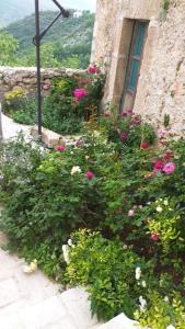 un jardín de flores frente a un edificio en Casa Fonte Vallone, en Pacentro