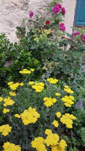 un jardín de flores amarillas y moradas frente a un edificio en Casa Fonte Vallone, en Pacentro