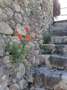 a stone wall with some red flowers on it at Casa Fonte Vallone in Pacentro