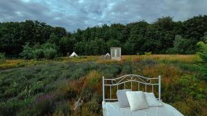 a bed in the middle of a field at Wilcze Pole - tu odpoczniesz od świata in Postomino