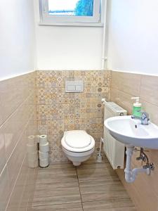 uma casa de banho com um WC e um lavatório em Vizililiom Vendégház em Tiszafüred