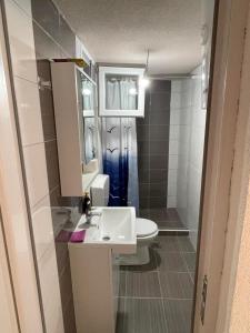 a small bathroom with a sink and a toilet at Apartmani Mihajlović in Herceg-Novi