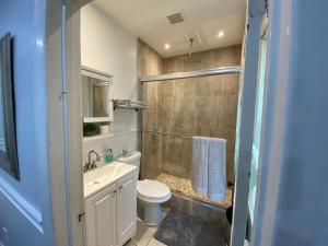 a bathroom with a shower and a toilet and a sink at Lovely 2 Bedroom Cottage Just Off Orange Lake! in Newburgh