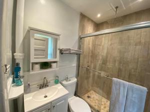 a bathroom with a shower and a toilet and a sink at Lovely 2 Bedroom Cottage Just Off Orange Lake! in Newburgh