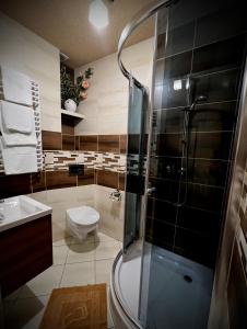 a bathroom with a shower and a toilet and a sink at Noclegi u Masnych in Witów