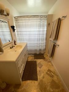 a bathroom with a sink and a shower at Callie's Cottage in Hatch +17 photos