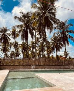 une piscine avec des palmiers en arrière-plan dans l'établissement 7 ESTRELAS PATACHO, à Porto de Pedras