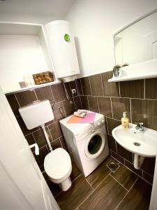 une petite salle de bains avec un lave-linge et un lavabo dans l'établissement Smokvica, à Apatin