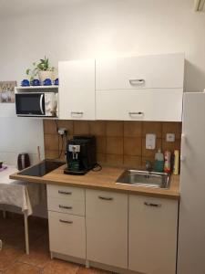 A kitchen or kitchenette at Penzion Agape