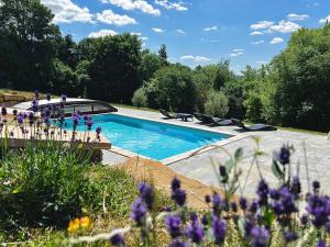 Demeure de la Garenne في Montmirail: حمام سباحة في حديقة بها زهور أرجوانية