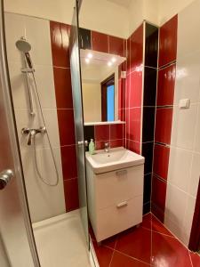 uma pequena casa de banho com um chuveiro e um lavatório. em Veronika Apartman em Balatongyörök