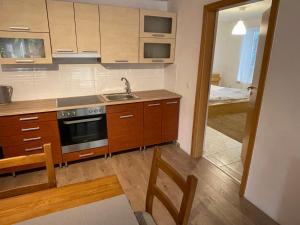 Kuchyňa alebo kuchynka v ubytovaní BONI Apartman