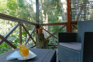a glass of orange juice sitting on a table on a porch at Selva de Laurel in Puerto Iguazú