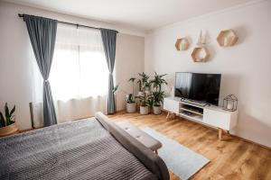 Televízia a/alebo spoločenská miestnosť v ubytovaní Csendeskert Wellness Apartments - Garden, grill, chill