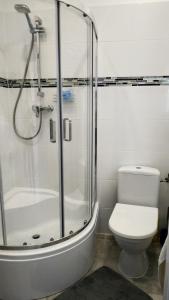 Kúpeľňa v ubytovaní Apartamenty gościnne na szlaku + 20 fotografií