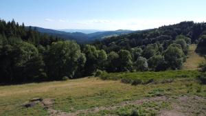 Príroda v okolí luxusného stanu