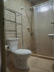 a bathroom with a toilet and a shower at Cabaña El Encuentro in San Carlos de Bolívar