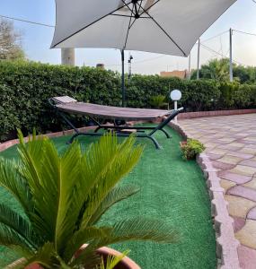 a picnic table with an umbrella on a patch of grass at Villa Patty in Marzamemi