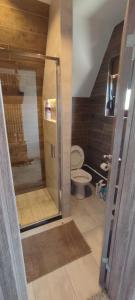 uma casa de banho com um chuveiro e um WC. em Pinewood Home Žabljak em Žabljak