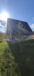 a building with a tree in the grass at Pinewood Home Žabljak in Žabljak