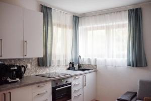 Kuchyňa alebo kuchynka v ubytovaní Csendeskert Wellness Apartments - Garden, grill, chill