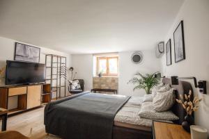 Televízia a/alebo spoločenská miestnosť v ubytovaní Csendeskert Wellness Apartments - Garden, grill, chill