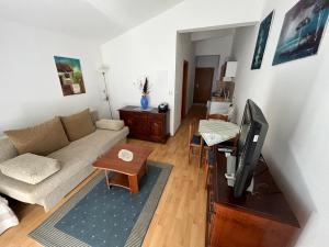 a living room with a couch and a flat screen tv at Apartments Akiki in Karlobag