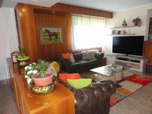 sala de estar con sofá y TV en HOUSE DOLCEVITA 30 min per Venezia en Padova