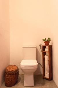 a bathroom with a toilet and a plant on a shelf at Casa Canoa - Praia de Algodões in Marau