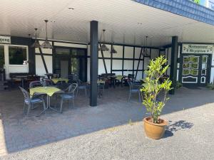 ein Restaurant mit Tischen und Stühlen und einer Topfpflanze in der Unterkunft Hotel-Garni Domblick in Bad Honnef am Rhein