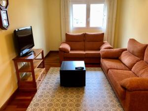 a living room with a couch and a tv at Apartamento Ribeira Sacra in Monforte de Lemos