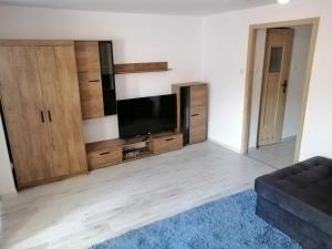 Μια τηλεόραση ή/και κέντρο ψυχαγωγίας στο Apartament Przy Parku