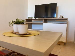 a table with a television and two plants on it at DESPERTAR in San Luis