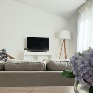 TV tai viihdekeskus majoituspaikassa Adam Home Apartamentos