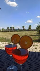 two glasses of red wine sitting on a table at Villa Piovene Apartments in Lonedo