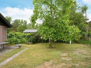 a tree in a yard with a bench at 6 person holiday home in Højby-By Traum in Højby