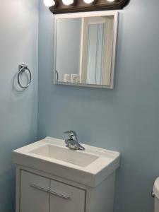 uma casa de banho com um lavatório branco e um espelho. em Pete's Lakefront Motel, LLC em Geneva