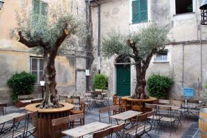 two trees in a courtyard with tables and chairs at La dimora del Conte Bracco B. in Albenga