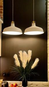 two lights hanging over a kitchen counter with a plant at Lividus Czarna Mewa in Świnoujście