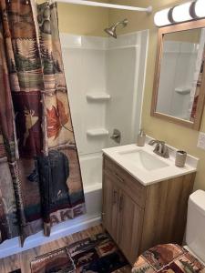 a bathroom with a sink and a shower curtain at Nunaka Valley Cottage in Anchorage