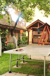 una mesa de ping pong frente a una casa en Casa Boby, en Murighiol