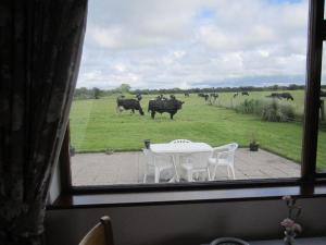 a window with a table and chairs and cows in a field at Greenfields Farmhouse in Ballylongford