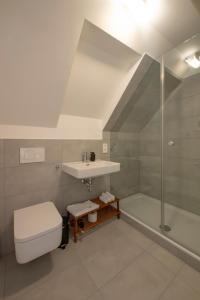 uma casa de banho com um chuveiro, um lavatório e um WC. em Gästehaus am Schlossplatz, Z. 5 em Meersburg